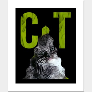 CAT - 15 Posters and Art